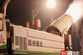 南京法桐果毛飘絮预报系统今日上线图片