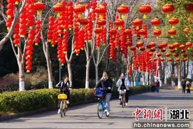 武汉东湖风景区25项特色活动迎新春图片