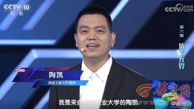 深海魅影！西工大研制出“水下幽灵”——仿生水母机器人