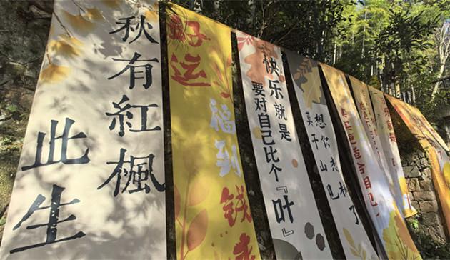 “枫情莫干，醉美深秋” 莫干山以红枫为媒邀客共赴秋日盛宴
