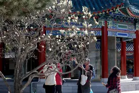 全市推出132处公园赏花片区  市民在家门口感受京城春色图片