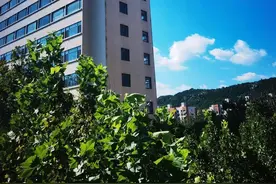 雨过天晴，济南蓝天白云上线！图片