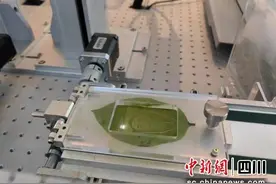 用树叶“拍照”、用光束焊接……高精尖科研成果“亮相”绵阳图片