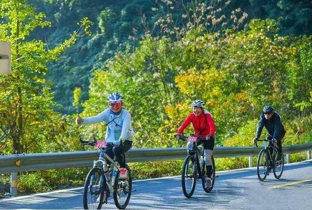 五一避峰游首选！谷城赵湾乡解锁深山生态度假新体验