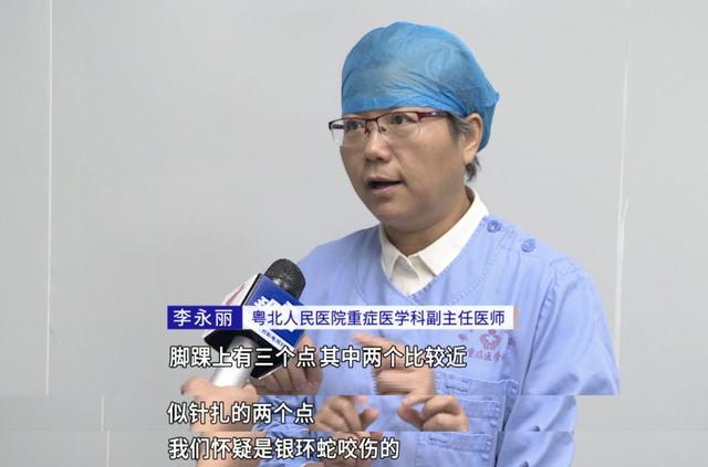 8岁男童昏迷9小时险丧命！医生靠脚踝俩小红点揪出“元凶”