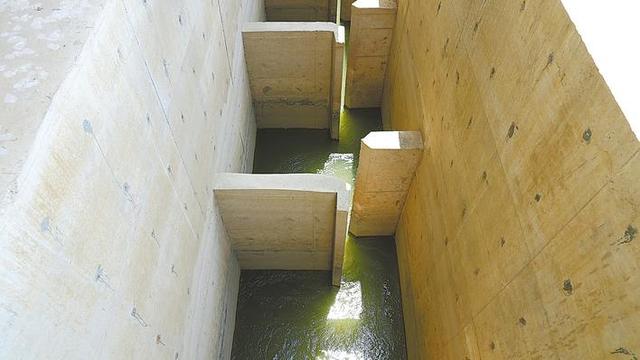 “鱼性化”设计 让鱼儿游得更顺畅