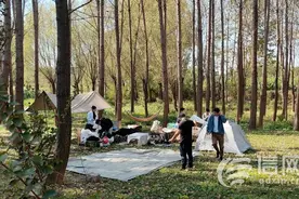 吃玩购乐一条龙 青岛即墨区乡村旅游人气旺图片