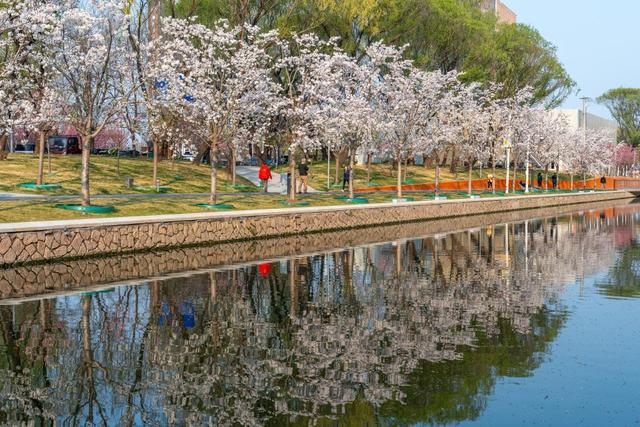 人间四月天，“花生态”绽出“花生活”