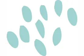 孕妈必看！无创 DNA，孕期筛查的 “秘密武器”｜贤医健康说图片