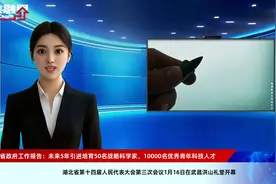 湖北省政府工作报告：未来5年引进培育50名战略科学家、10000名优秀青年科技人才视频封面