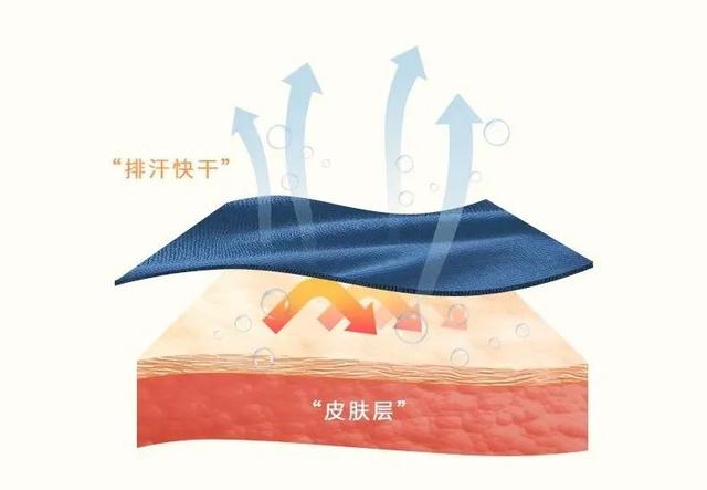 为什么羊毛衣不再“扎人”？这个国货悄悄改了“配方”