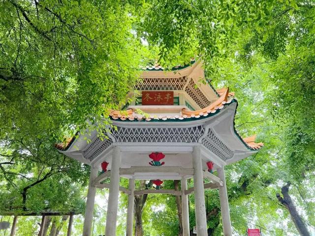 南宁故事 | 百米古城墙 斑驳青砖记岁月历史——南宁市区唯一保留下来的古城墙