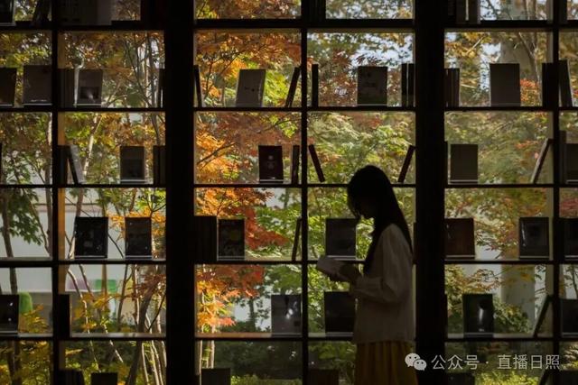 红了！10月下旬至11月上旬，就在日照这里→