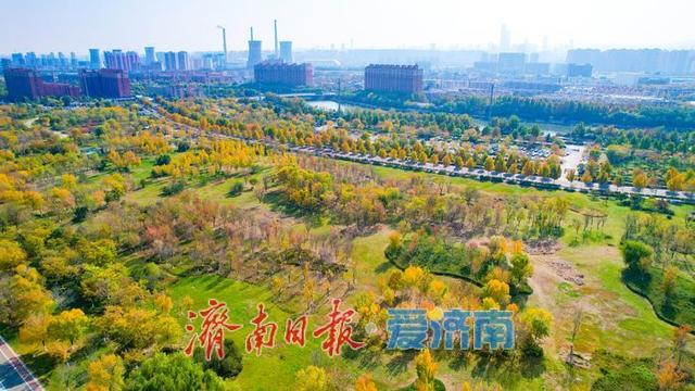 一年四季 泉在济南丨秋暮意正酣 华山湖公园秋意正浓