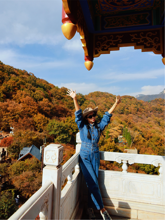 何处红叶醉人眼？何物最暖游子心？