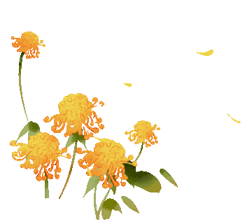 重阳暖孝亲，文脉润金陵——携父母同游南京夫子庙