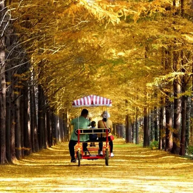 接下来的日照，是这样的！