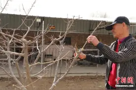 跨越64年，两“孩子”寻亲成功图片