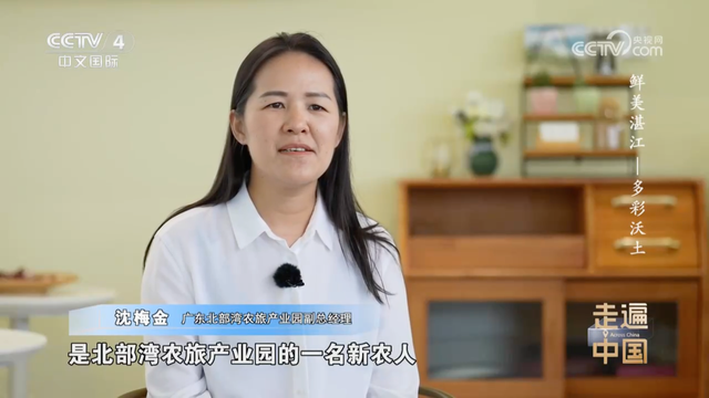 央视镜头下的多彩湛江，以海为媒绘就农文旅融合新图景