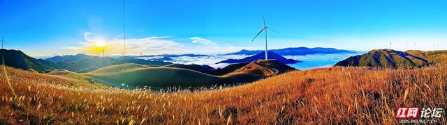 【每日一图@湖南】月夜风车与霞光云海同框？初冬的桂东万洋山做到了