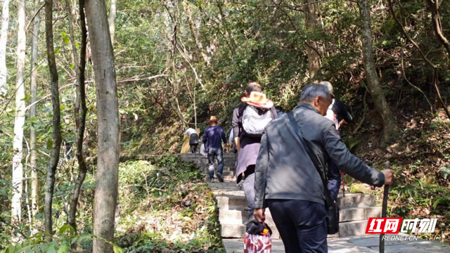 徒步鹞子寨：一场解压又痛快的山野之旅