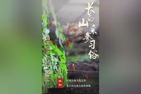 林海参乡·生态白山 | 了不起的国家级非遗！采参人的“仪式感”→图片