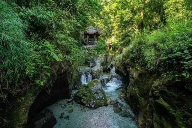 处暑遇“秋老虎”？来乐山踏入26℃的天然空调房！
