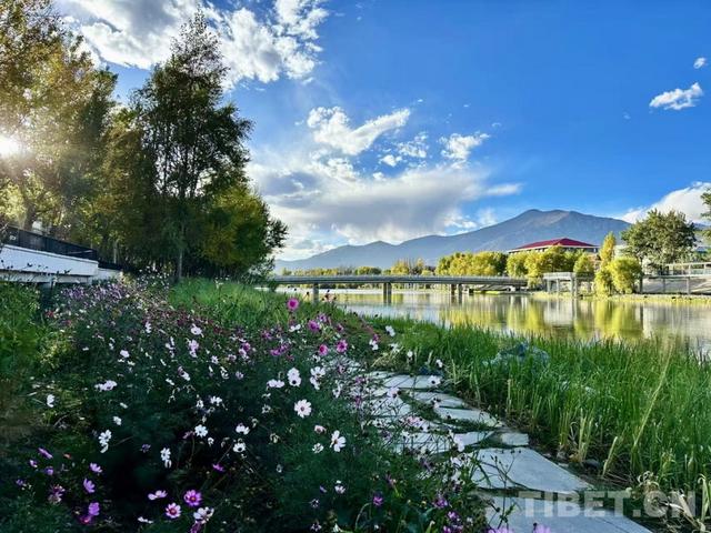 辉煌60年·我们的家园｜昔日荒滩变身美景 拉萨的诗意写在绿水青山间