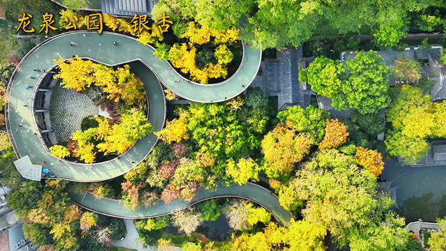 超美超出片！荆门这些宝藏地，附详细打卡攻略