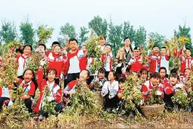 山东东营：乡村生态游成首选图片