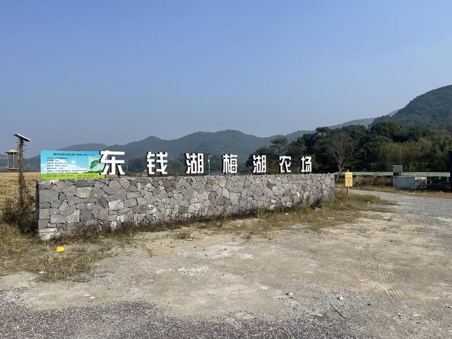 写点生活｜转角见美