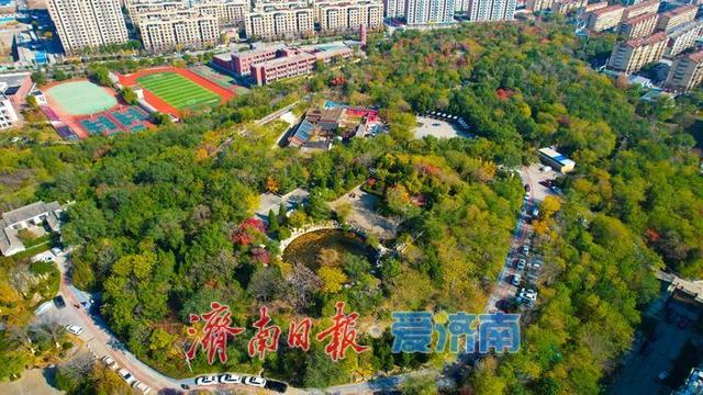 一年四季 泉在济南丨药山公园初冬美景：层林尽染处 山水入画来