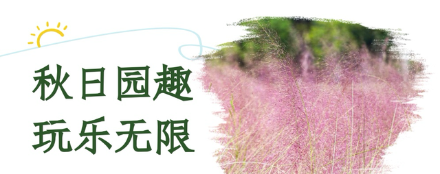 粉了！粉了！这一波华容“圈”粉了！