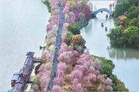 花城笑了 爱便开始盛开图片