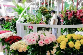 第二十二届中国昆明国际花卉展9月20日开幕图片
