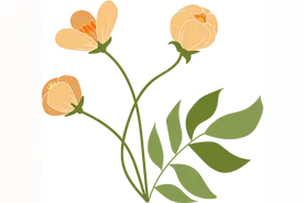 你的爱车加油口在那个方向，为什么？图片