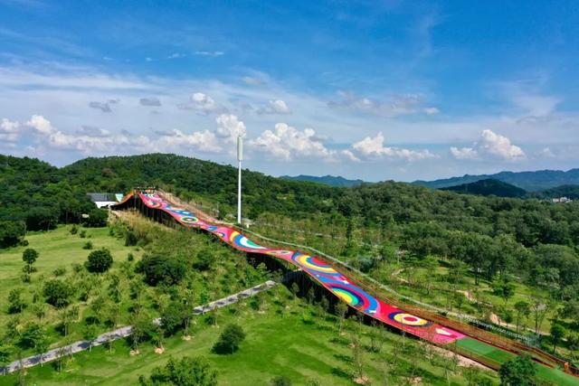 藏不住了！马岭千亩花海美成童话，福利门票免费送~