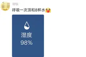 空气湿度100%！呼吸一次顶喝八杯水，回南天又来了图片