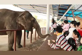 常德汉寿：游客探访“动物王国” ，体验自然之美图片