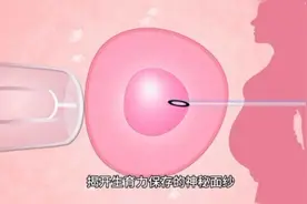 新知｜如何保存“生命的种子”？揭开“生育力保存”的面纱图片