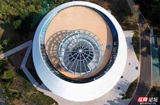 秋游时刻丨怀化迎丰公园藏了个“植物宝藏地”，爱好者速来