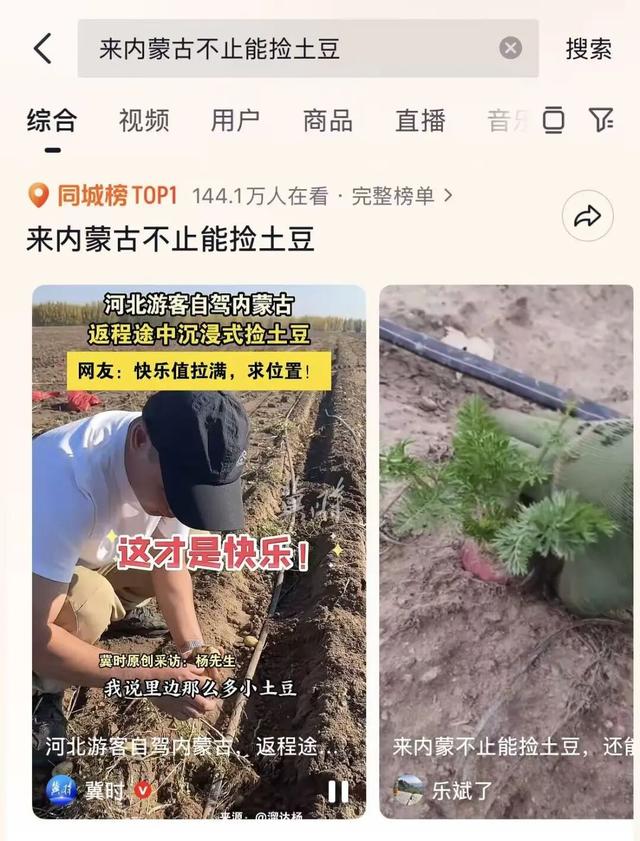 来呼和浩特捡土豆吧！内蒙古的秋天是可以“捡”回家吃的