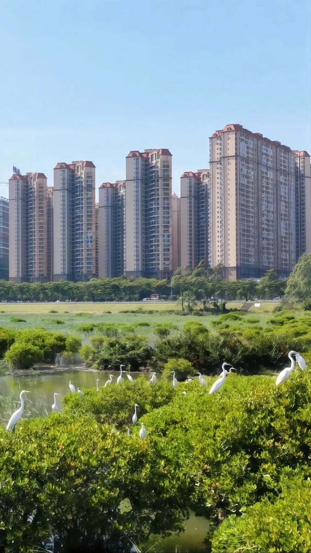 防城港壁纸上新！速来查收→