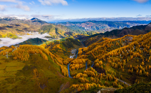 冬季暖阳 凉山不凉 | 彩林与暖阳的双向奔赴