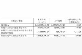 南京熊猫：2023年上半年亏损2734.04万元图片