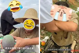 涉案400多万元！200万粉丝网红号编造悲惨故事引流卖货，3人被采取刑事强制措施图片