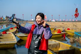 湖北潜江：小龙虾冬捕供市场图片