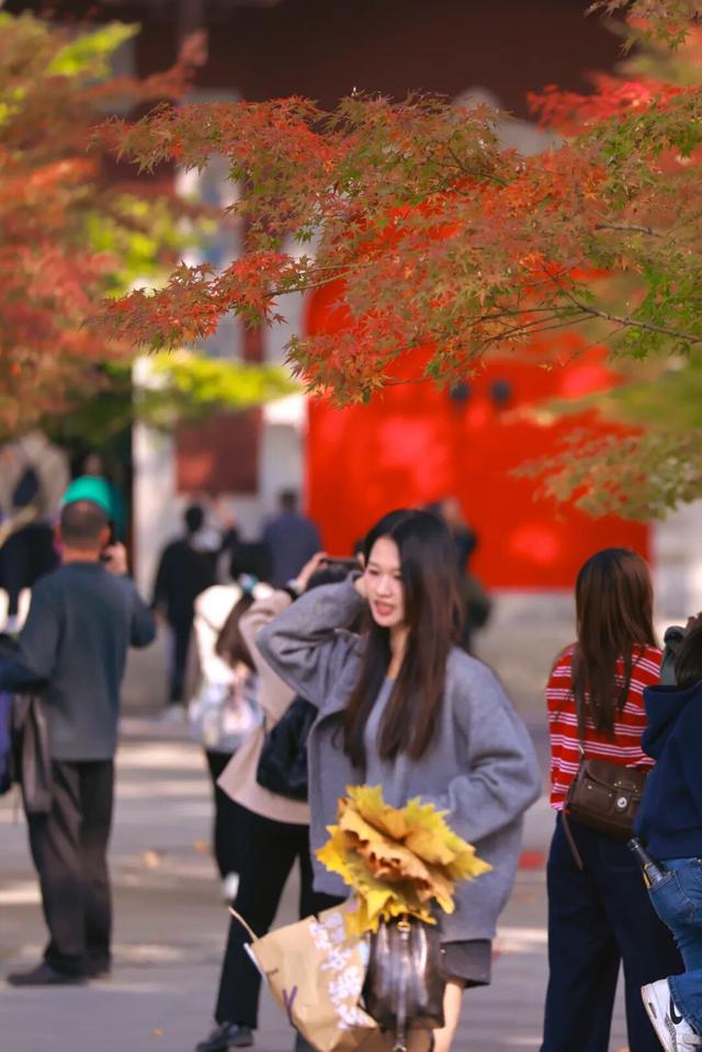 栖霞山新顶流，中式浪漫藏不住了！