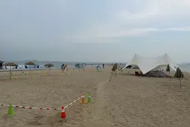 厦门：环东海域为福建“添蓝增绿”图片