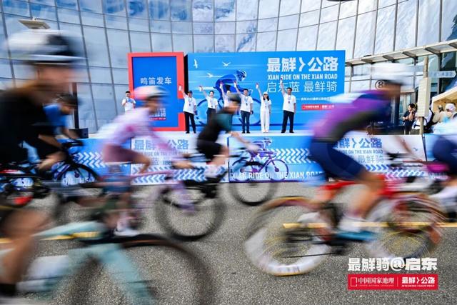 最鲜城市，请回答！